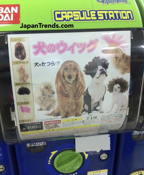 Dog wig vending machine